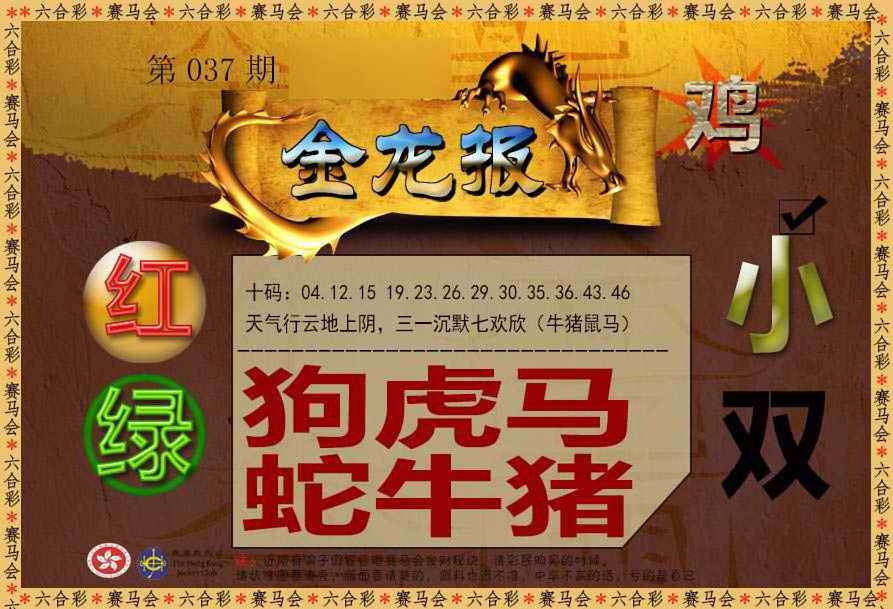 037期金龙报[图]