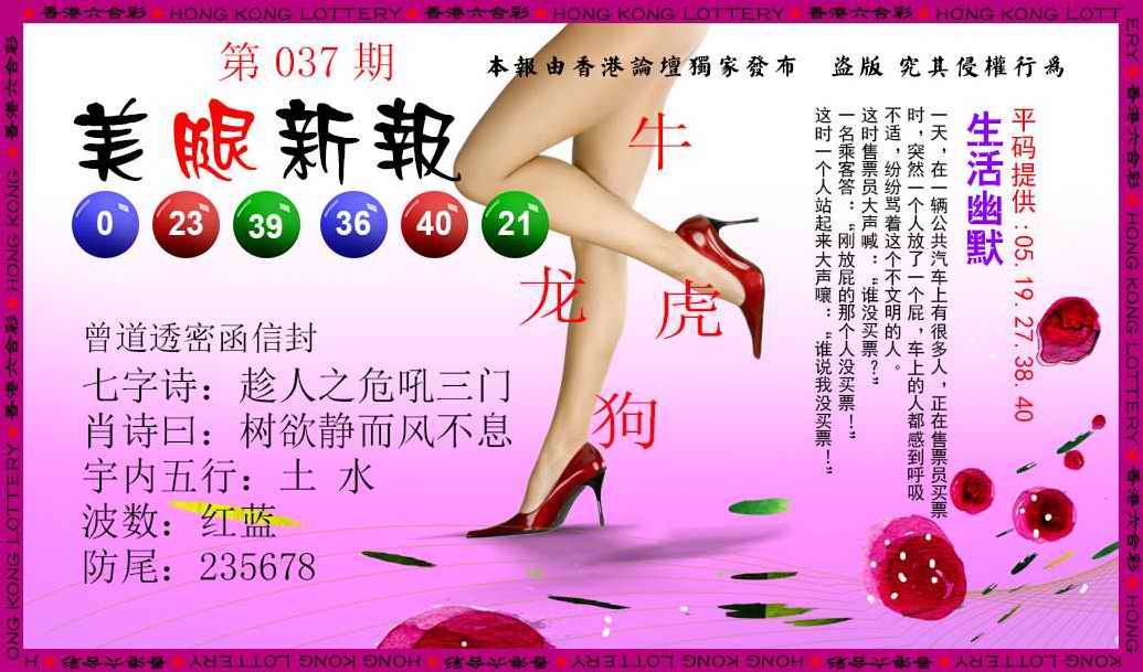 037期美腿新报[图]