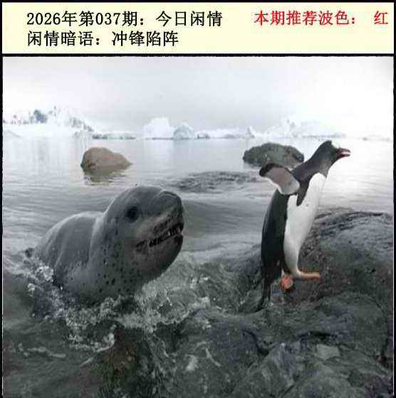 037期今日闲情2[图]