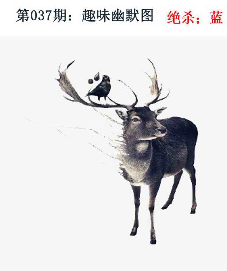 037期趣味幽默[图]