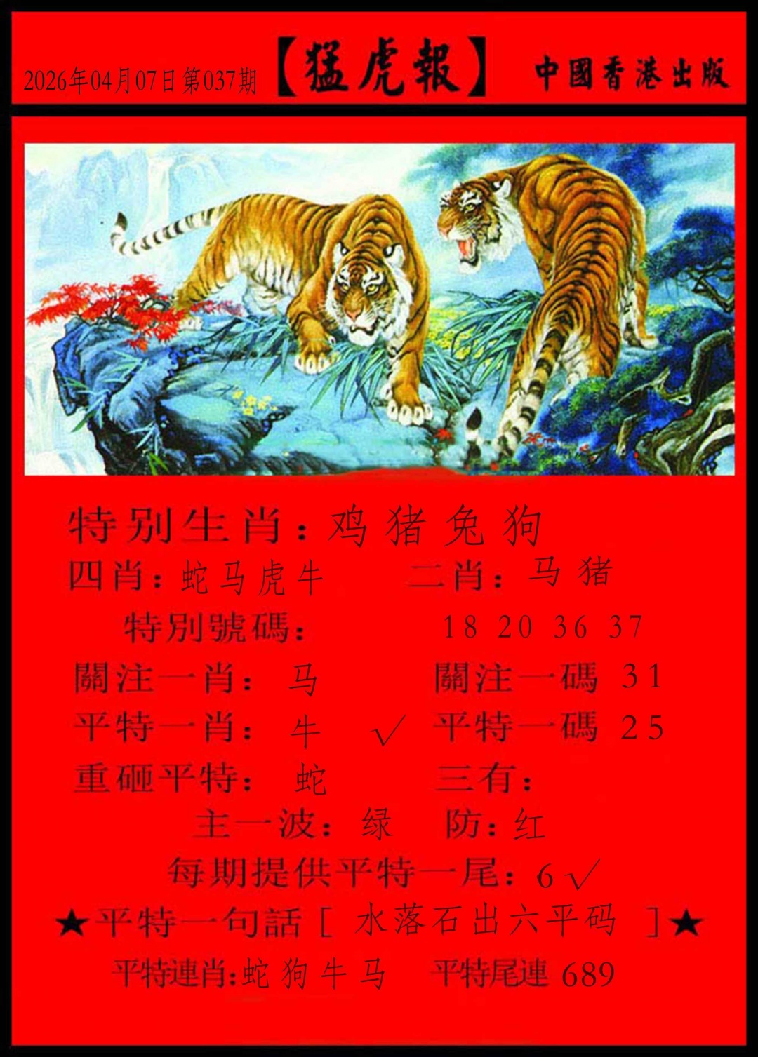 037期猛虎报[图]